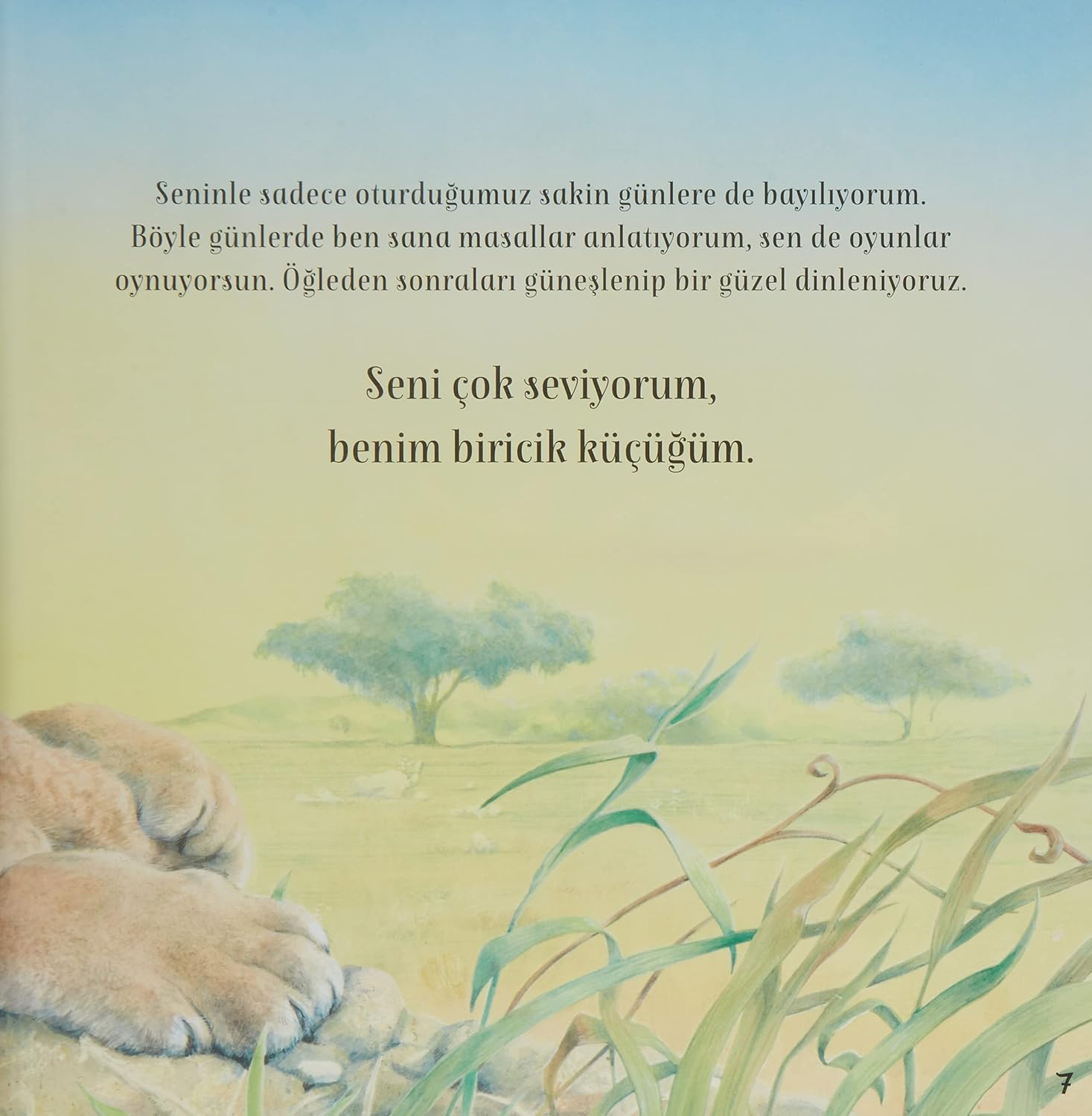 Seni Seviyorum Miniğim Resim 7
