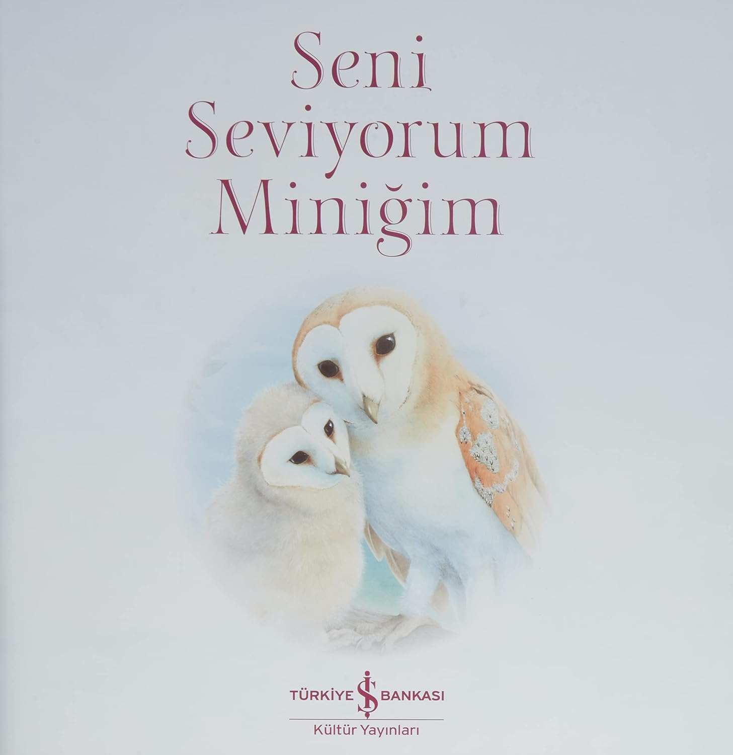 Seni Seviyorum Miniğim Resim 8