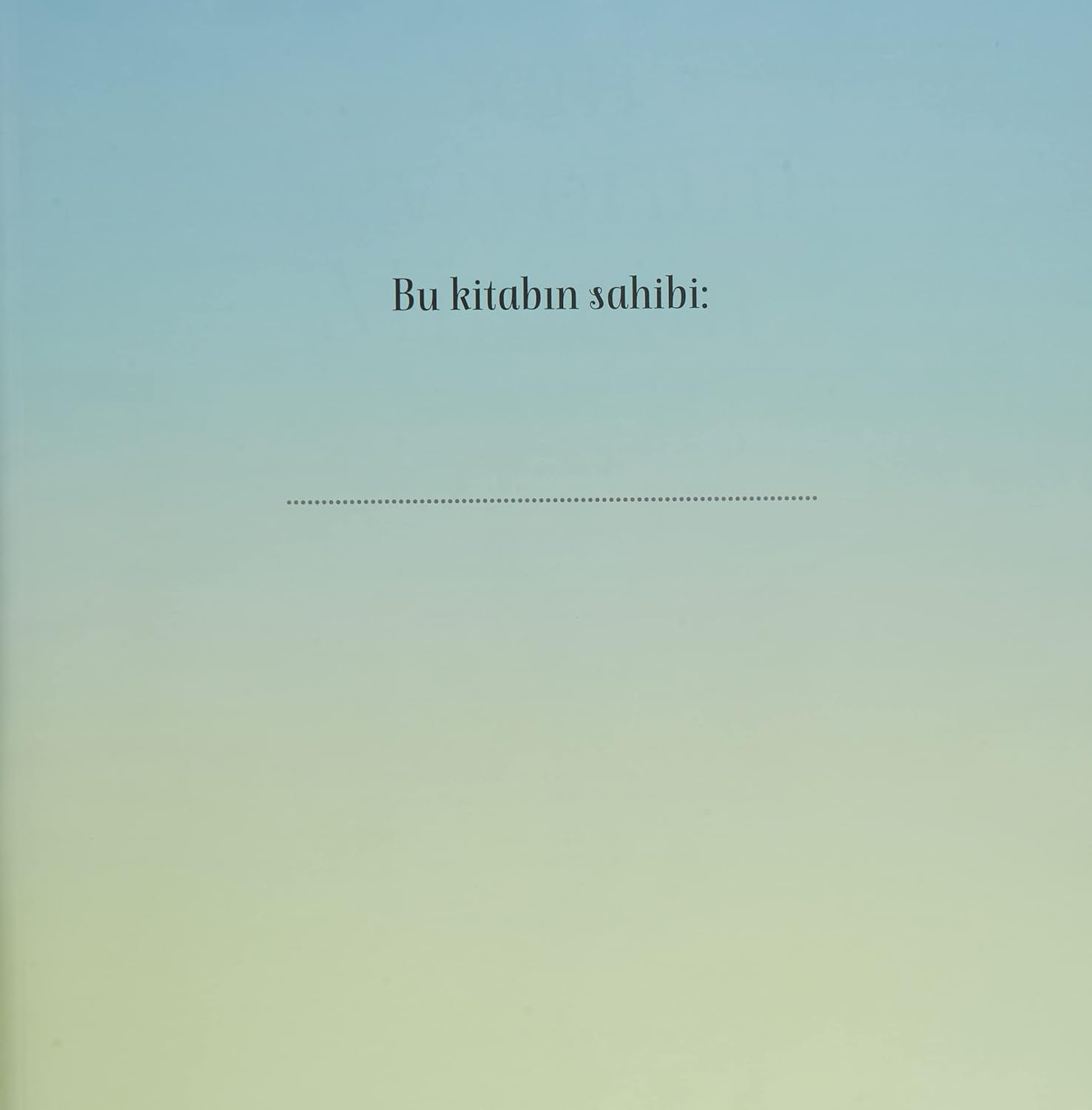 Seni Seviyorum Miniğim Resim 11