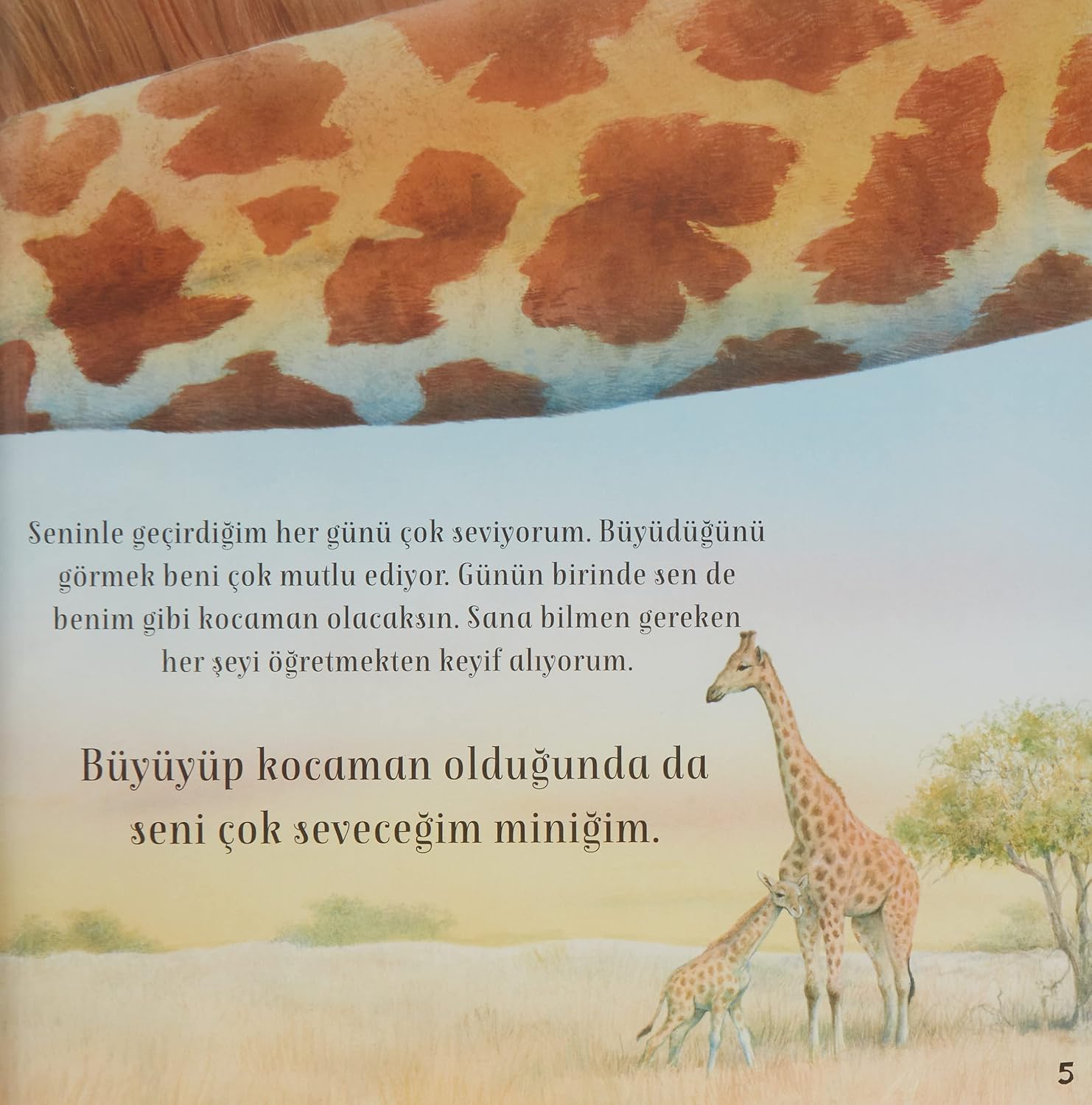 Seni Seviyorum Miniğim Resim 4