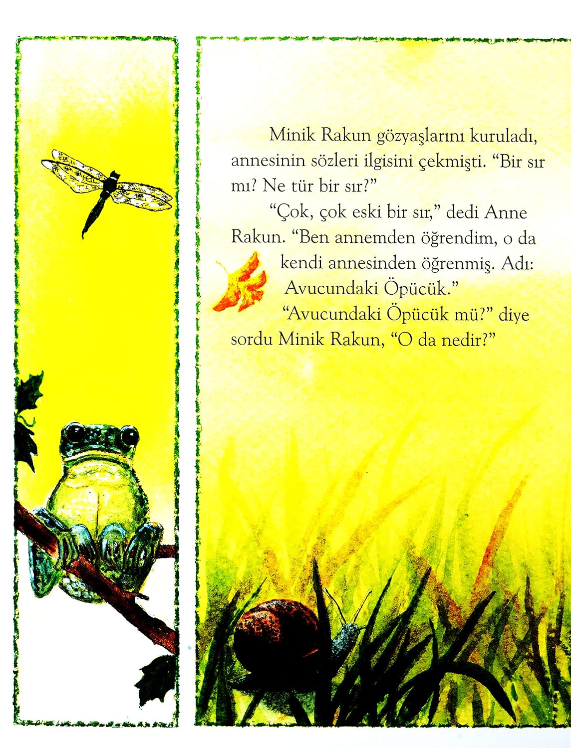 Avucundaki Öpücük  Resim 5