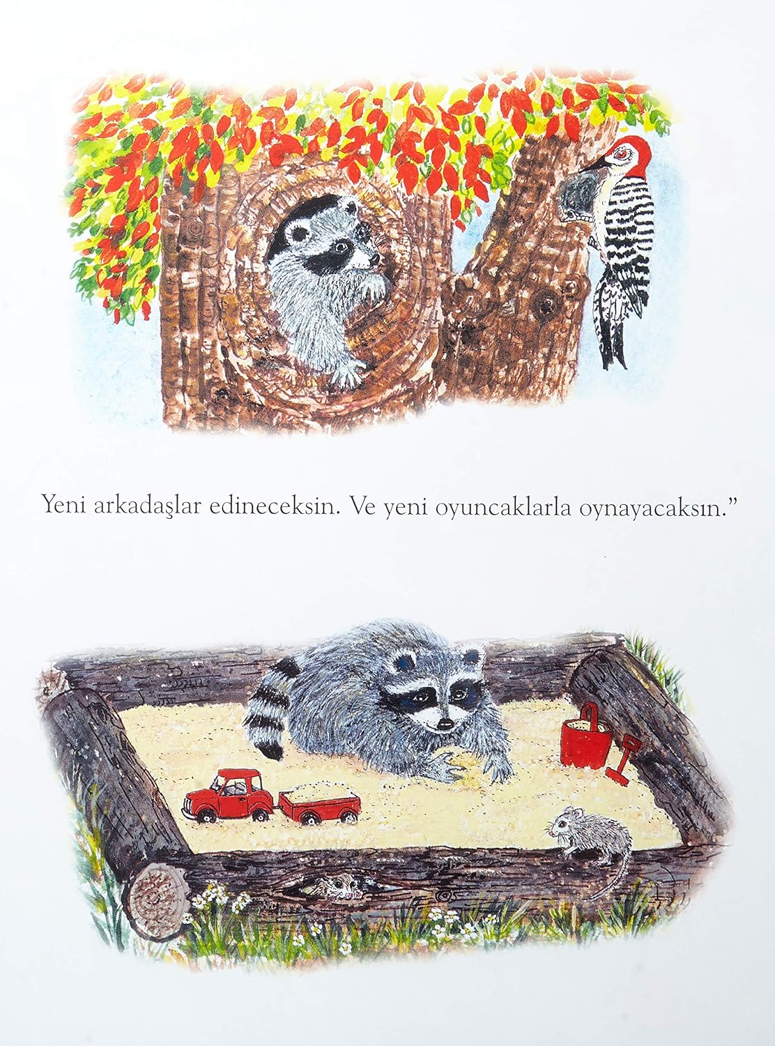 Avucundaki Öpücük  Resim 8